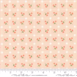 Dainty Meadow - Picnic Petals Blush