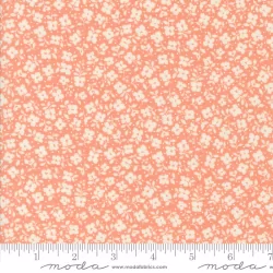 Dainty Meadow - Tossed Petals Coral