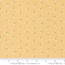 Dainty Meadow - Dainty Toss Buttercup