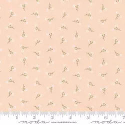 Dainty Meadow - Dainty Toss Blush