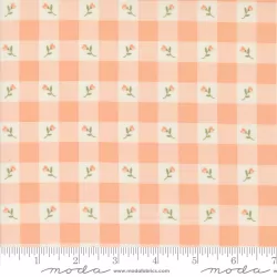 Flower Girl - Picnic Check Peachy