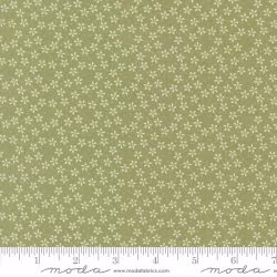 Pastel Prairie - Colander Grass