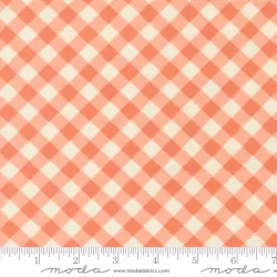 Pastel Prairie - Gingham Coral