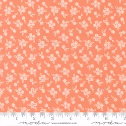 Pastel Prairie - Petals Coral