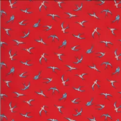 Lulu - Flying Hi Geranium