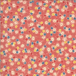 It's Elementary - Apron Floral Red