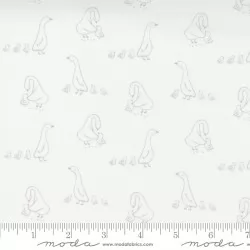 Little Ducklings - Duck Walk White - 1 Cut FQ