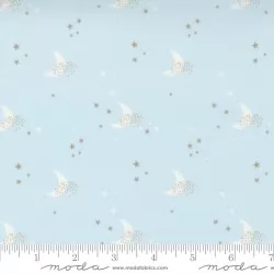 Little Ducklings - Moon Print Blue