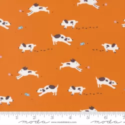 Pips - Puppy Dog Tails Orangeade