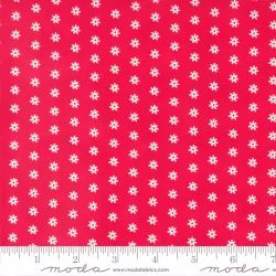 Berry Basket - Daisy Dot Cranberry