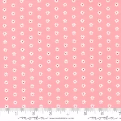 Berry Basket - Daisy Dot Strawberry