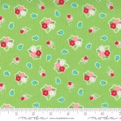 Love Lily - Flora Kiwi