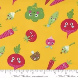 Rainbow Garden - Veggie Garden Sunshine