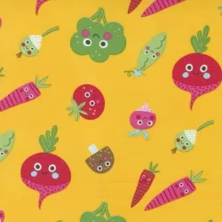 Rainbow Garden - Veggie Garden Sunshine