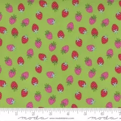 Rainbow Garden - Merry Berry Sprout
