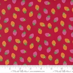 Rainbow Garden - Merry Berry Apple
