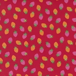 Rainbow Garden - Merry Berry Apple