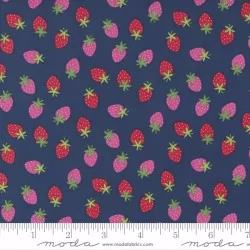 Rainbow Garden - Merry Berry Blueberry