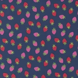 Rainbow Garden - Merry Berry Blueberry