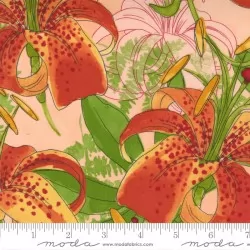 Carolina Lilies - Carolina Lilies Peach