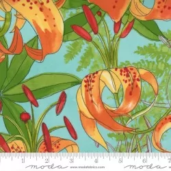 Carolina Lilies - Carolina Lilies Aqua