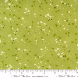 Dandi Duo - Flyaway Seeds Grass