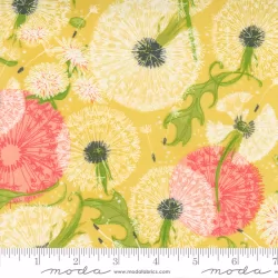 Dandi Duo - Dandelion Fields Maize - 1 Cut FQ