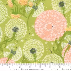 Dandi Duo - Dandelion Fields Grass