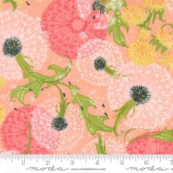 Dandi Duo - Dandelion Fields Peach