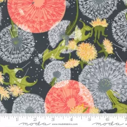 Dandi Duo - Dandelion Fields Graphite