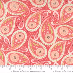 Dandi Duo - Paisley Coral