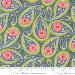 Dandi Duo - Paisley Graphite