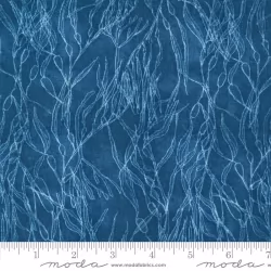 Serena Shores - Seaweeds Coastal