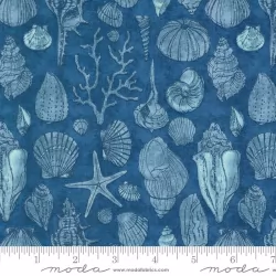 Serena Shores - Sketchy Shells Coastal
