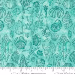 Serena Shores - Sketchy Shells Aqua