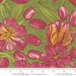 Tulip Tango - Tulips Sprig