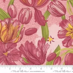 Tulip Tango - Tulips Princess