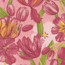 Tulip Tango - Tulips Princess