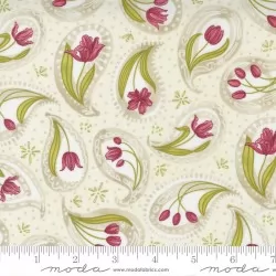 Tulip Tango - Tulip Paisley Cream