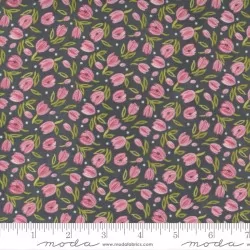 Tulip Tango - Tiny Tulip Shadow