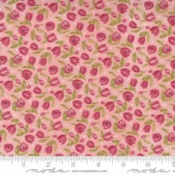 Tulip Tango - Tiny Tulip Princess