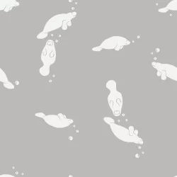 Ruby Star Society - Florida - Manatees Steel