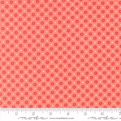 Delightfully Yours - Blooms Carnation