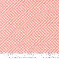 Delightfully Yours - Pinwheel Carnation