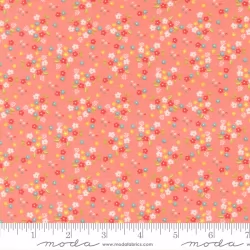 Delightfully Yours - Posie Carnation