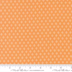 Delightfully Yours - Dots Apricot