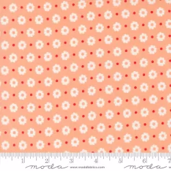 Laguna Sunrise - Petal Cantaloupe