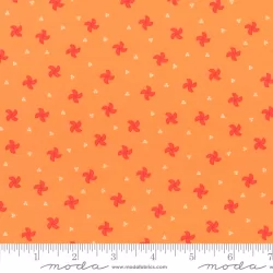 Laguna Sunrise - Pinwheel Orange