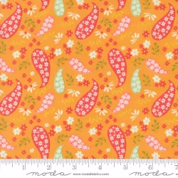 Raspberry Summer - Paisley Apricot