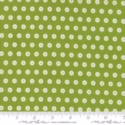 Raspberry Summer - Dots Fresh Grass
